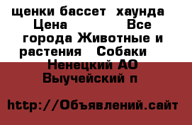 щенки бассет- хаунда › Цена ­ 20 000 - Все города Животные и растения » Собаки   . Ненецкий АО,Выучейский п.